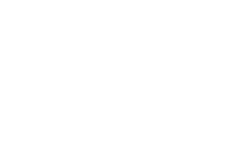 The Gymea Lily