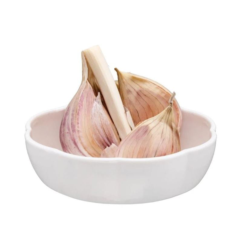 Joie Garlic Pod The Gymea Lily