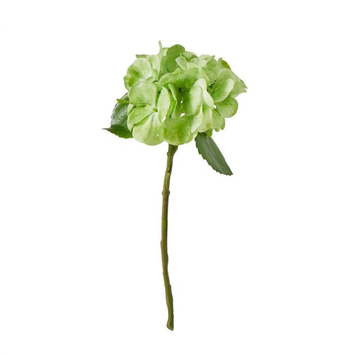 Rogue Hydrangea Stem 17x17x33cm Green