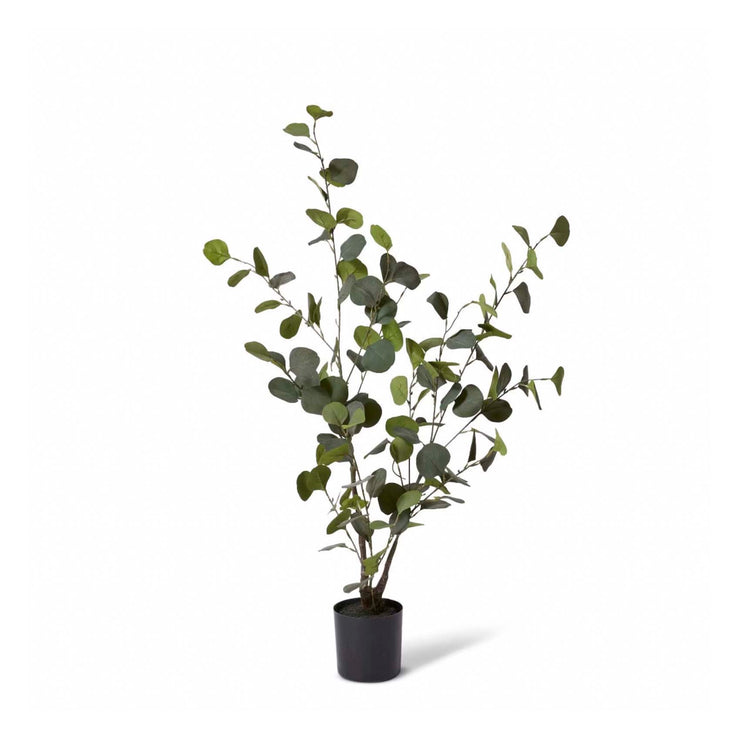 Eucalyptus Tree Green 34x34x70cm