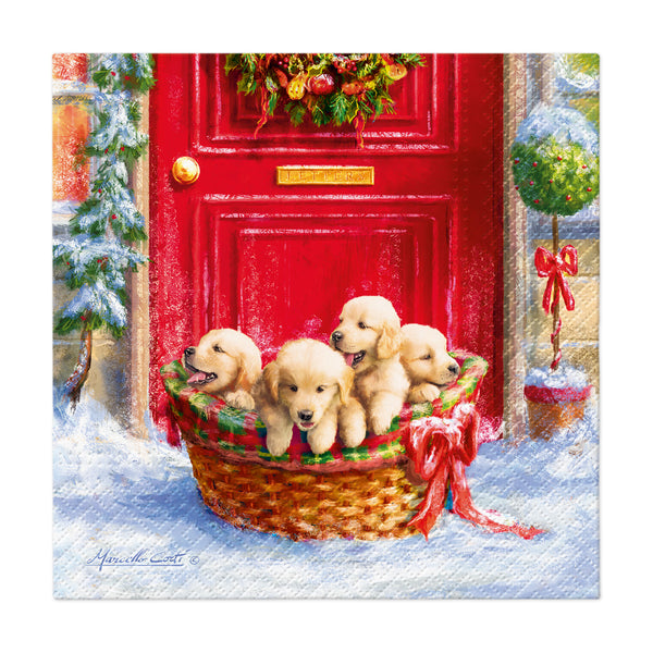 Stocking fillers