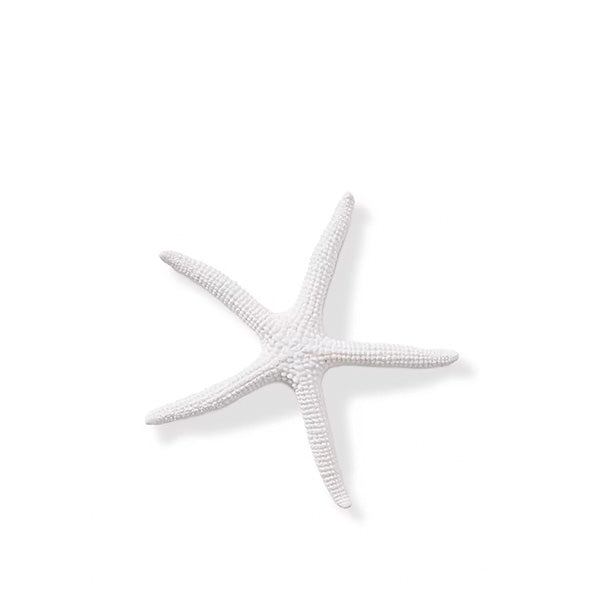 Starfish Sea Star White 11x11x11cm