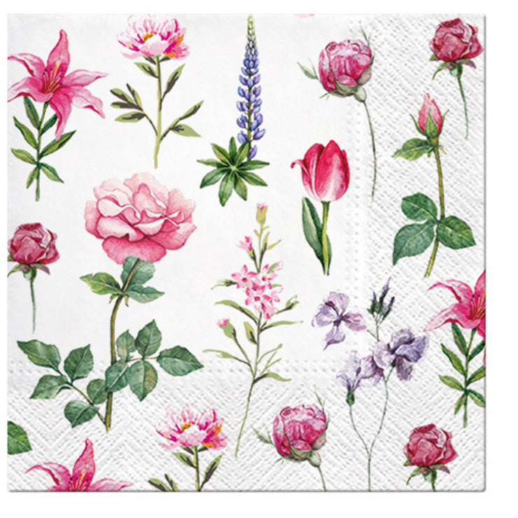 PAW Boons Of Garden 3 Ply Lunch Napkins 330mm