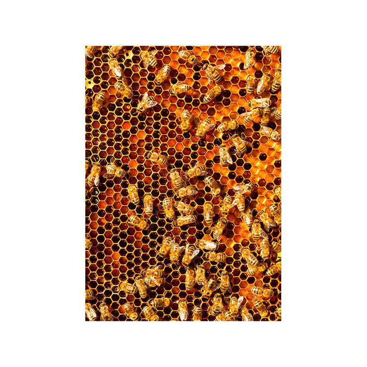 Bees Microfibre Cloth