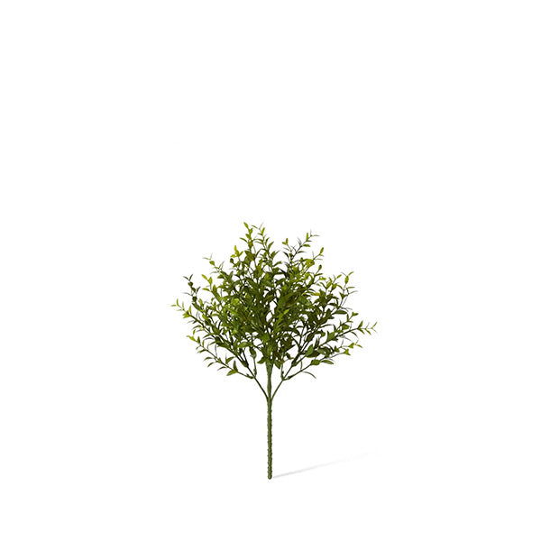 Boxwood Bush Outdoor Green 20x20x34cm