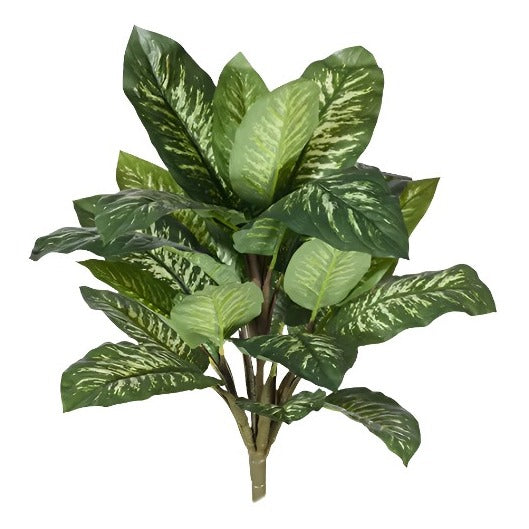 dieffenbachia bush Dieffenbachia Bush Green White artificial – The Gymea Lily