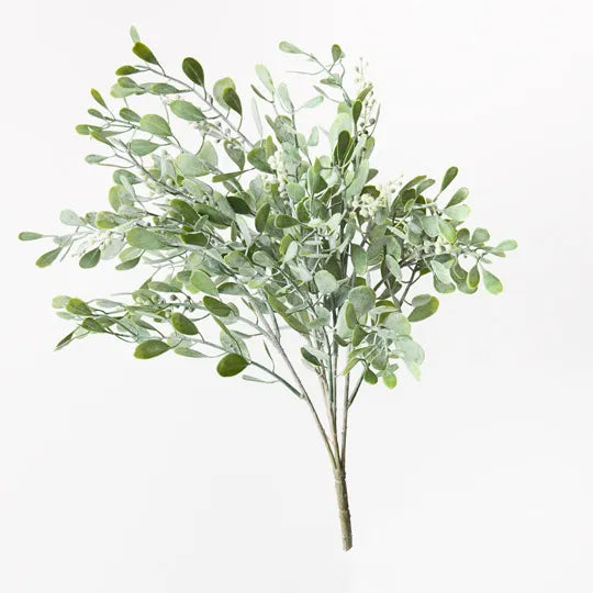 Boxwood Berry Bush Grey Green 51cm