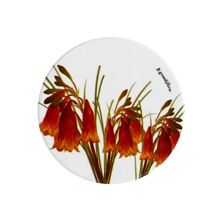 Royal Botanic Gardens Ceramic Round Coaster 9.5cm Xmas Bells