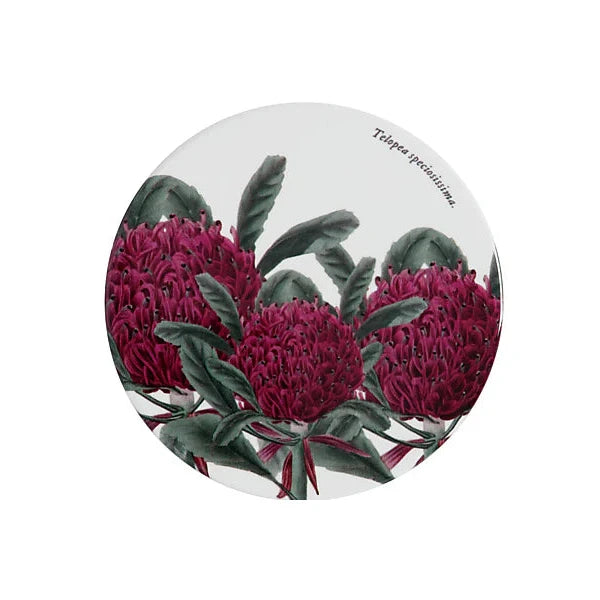 Royal Botanic Gardens Ceramic Round Coaster 9.5cm Telopia