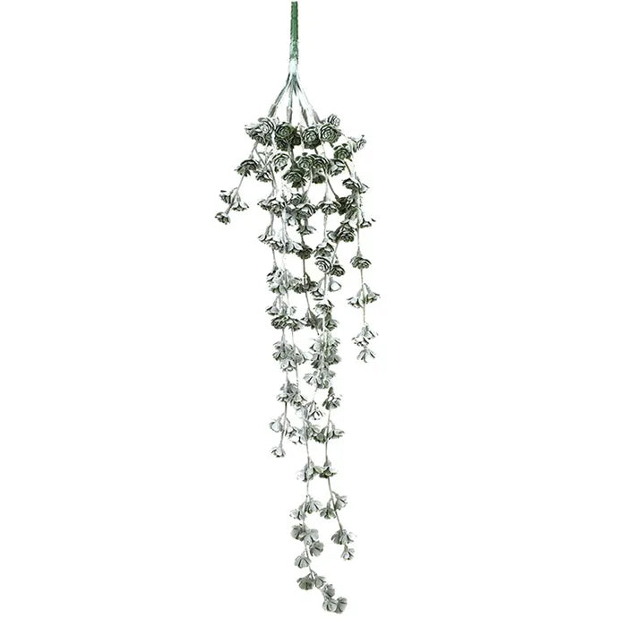 Sedum Hanging Succulent Stem 78cm