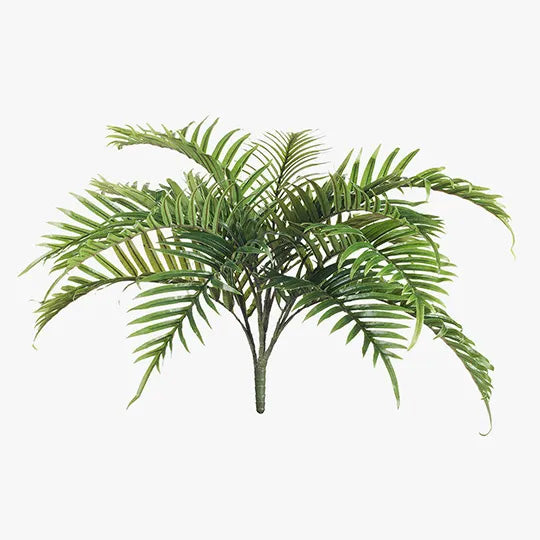 Palm Areca Bush Green 70cm