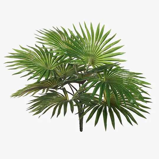 Palm Fan Bush Green 38cm