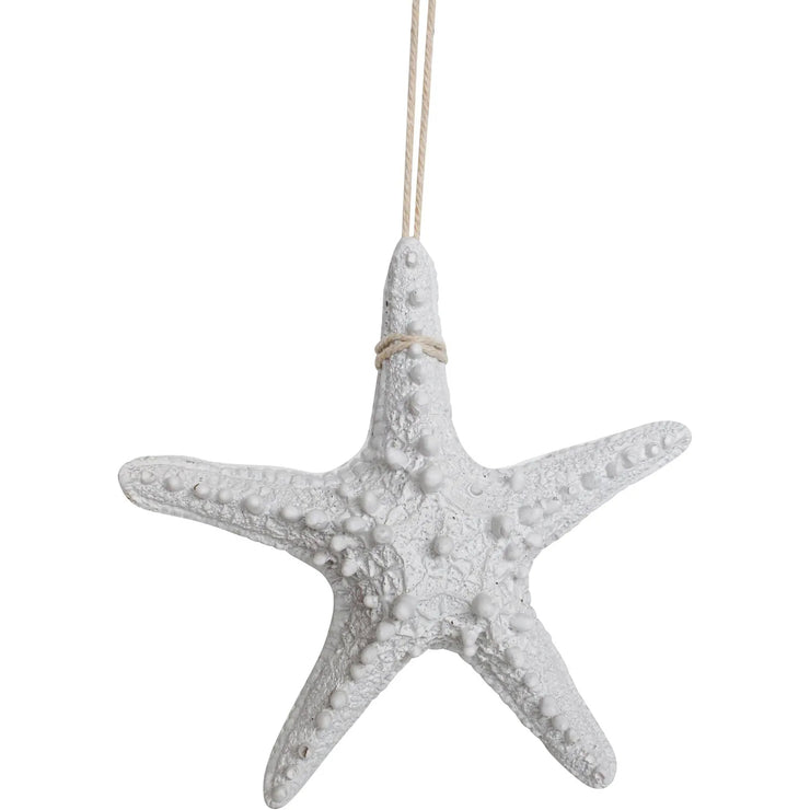 Starfish Rustic Medium