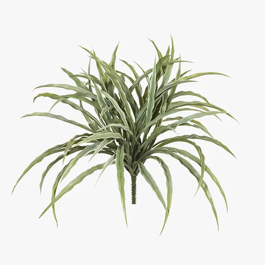 Grass Vanilla Bush Grey Green 30cm