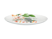 Eloise Short Lyric Coupe Plate Regent Honeyeater Gift Boxed
