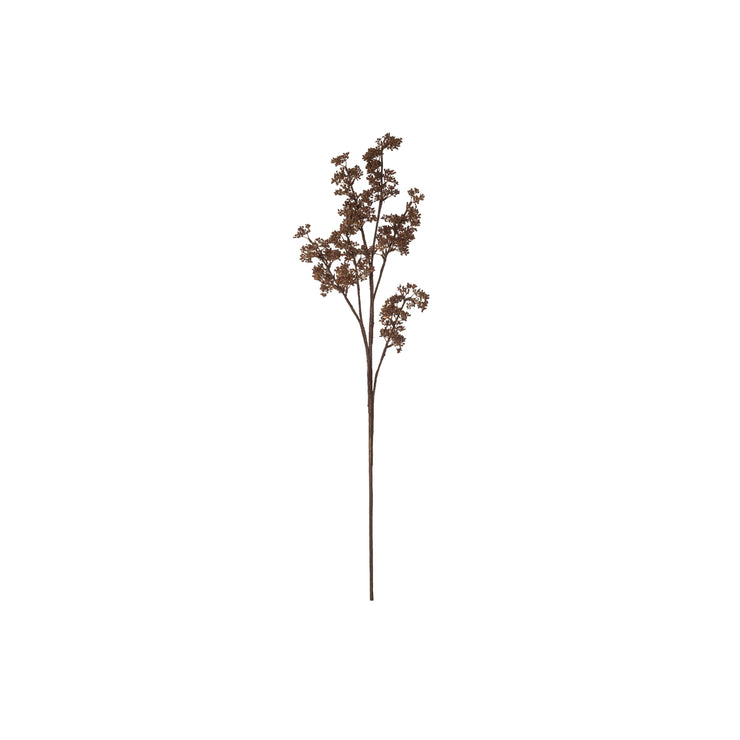 20.738.89 Rogue Seeding Cluster Spray Light Brown 840mm Gymea Lily Kitchenware & Homewares