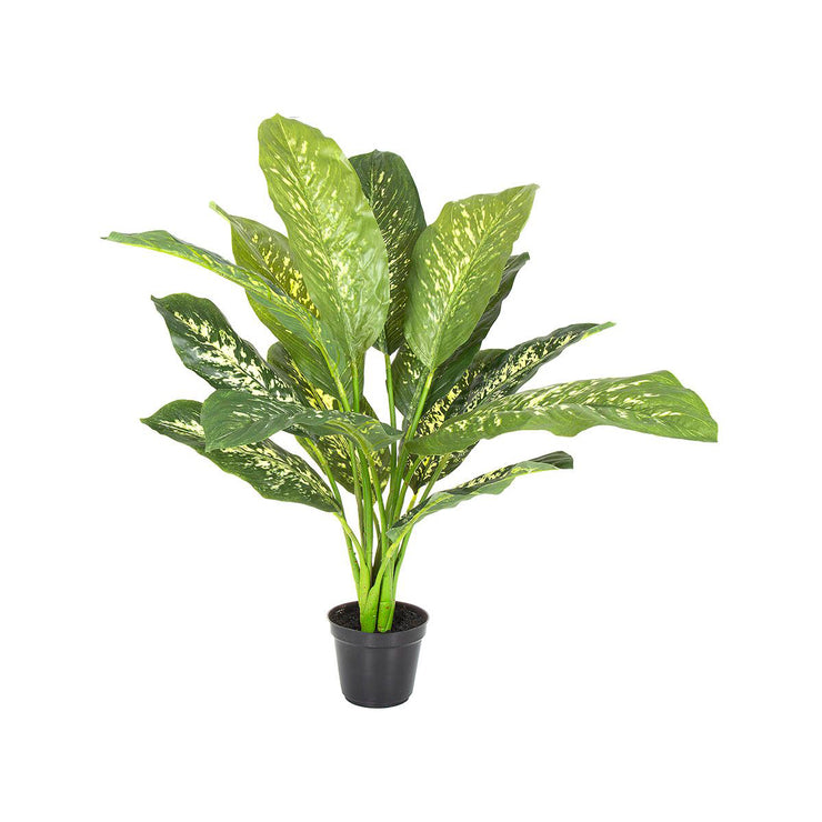 Cane Plant Real Touch in Pot Medium 63cm