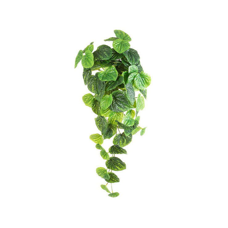 Artificial Peperoma Hanging Bush Real Touch 650mm