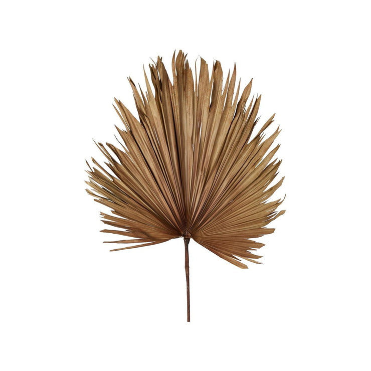 Artificial Dried Real Palm Brown Large
