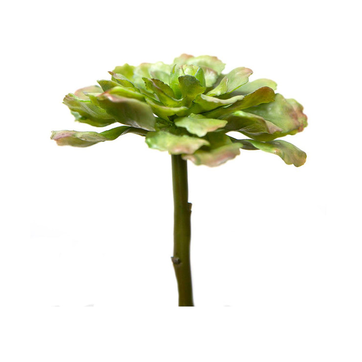 Artificial Succulent Green